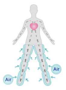 DoctorLife circulatia sanguina si limfatica